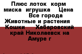 Плюс лоток, корм, миска, игрушка. › Цена ­ 50 - Все города Животные и растения » Кошки   . Хабаровский край,Николаевск-на-Амуре г.